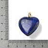 Dyed Natural Lapis Lazuli Pendants G-P585-03G-07-4