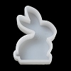 Rabbit Display Decoration DIY Silicone Molds SIMO-H142-02A-3