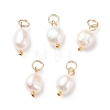 Grade B Natural Cultured Freshwater Pearl Charms PALLOY-JF01497-01-1