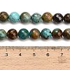Natural Turquoise Beads Strands G-G475-A05-8mm-5