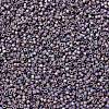MIYUKI Delica Beads SEED-MY11-DB1067-3