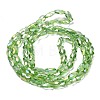 Electroplate Glass Beads Strands EGLA-P066-01A-AB06-2