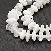 Natural Rainbow Moonstone Beads Strands G-E569-J15-4