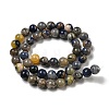 Natural Sodalite Beads Strands G-F591-13A-4