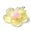 Translucent Resin Pendants RESI-P039-01P-3