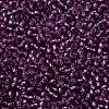 TOHO Round Seed Beads SEED-JPTR11-2219-2