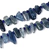 Natural Kyanite/Cyanite/Disthene Beads Strands G-Z091-A22-4