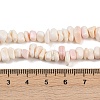 Natural Pink Shell Beads Strands SSHEL-L016-19-5