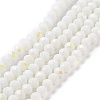 Electroplate Opaque Solid Color Glass Beads Strands LS-EGLA-A034-P6mm-L17-1