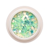 Shiny Nail Art Glitter Flakes MRMJ-T063-364-M-2