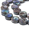 Natural Abalone Shell/Paua Shell Beads Strands LS-SSHEL-G003-5-8x3mm-2