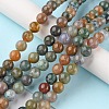 Natural Indian Agate Beads Strands X-G-G0003-C04-2