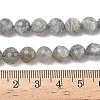 Natural Labradorite Beads Strands G-L642-F07-8mm-5