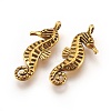 Tibetan Style Alloy Charms TIBEP-A19239-AG-NR-2
