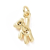 Brass Micro Pave Cubic Zirconia Charms KK-C012-15G-2