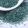 MIYUKI Delica Beads SEED-X0054-DB1870-1