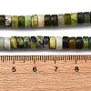 Natural Serpentine Beads Strands G-L624-I16-3x6mm-5