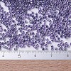 MIYUKI Delica Beads SEED-MY11-DB0250-4