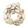 Handmade Natural Shell Beads Strands X-PBB471-1-2