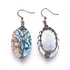 Abalone Shell/Paua Shell Dangle Earrings EJEW-L235-02R-2