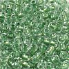 6/0 Transparent Colours Glass Seed Beads SEED-P006-01A-03-3