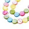 Freshwater Shell Beads Strands SHEL-T009-B16-06-3