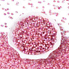 Drawbench Style Glass Seed Beads SEED-Q039-01D-2