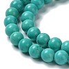 Natural Howlite Beads Strands G-E604-B01-5