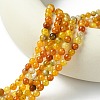 Dyed Natural Dragon Veins Agate Beads Strands G-C068-6mm-15-2
