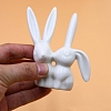 Porcelain Rabbit Sculpture Display Decorations PW-WG617B0-01-4