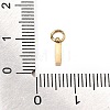 304 Stainless Steel Charms SA-CBABF3F-01G-I-3