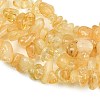 Gemstone Beads Strands F044-5