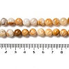 Natural Crazy Agate Beads Strands G-H298-A12-03-5