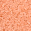 FGB Frosted Transparent Glass Seed Beads SEED-N013-05A-04-3