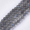 Natural Labradorite Beads Strands X-G-S333-6mm-035-1