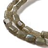 Natural Labradorite Beads Strands G-G085-A25-01-3
