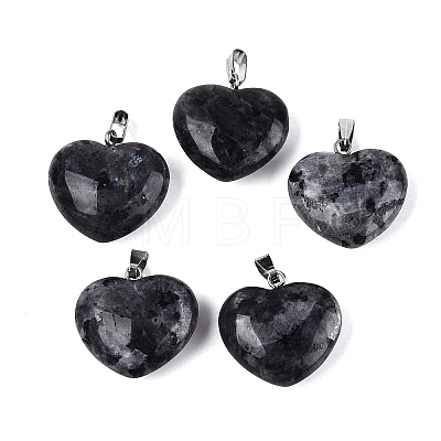Natural Larvikite Pendants G-N362-05P-05-1