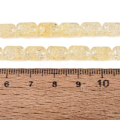 Transparent Crackle Glass Beads Strands GLAA-NH0001-04-A05-1