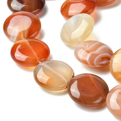 Flat Round Gemstone Natural Red Agate Stone Beads Strands X-G-S110-03-1