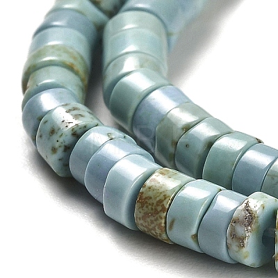 Natural Turquoise Beads Strands G-M422-C01-01-1