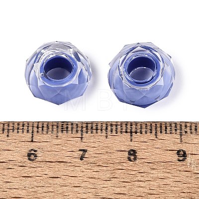 Resin European Beads RESI-Q236-01A-03-1