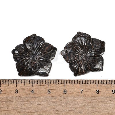 Natural Bronzite Carved Pendants G-B097-01A-12-1