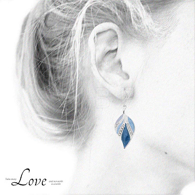 Alloy Enamel Dangle Earrings FS-WGF9F91-01-1