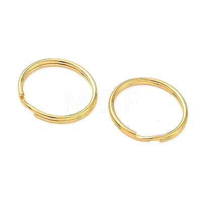 Iron Split Rings FIND-C084-03B-G-1