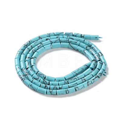 Dyed Synthetic Turquoise Beads Strands G-B124-A01-01-1