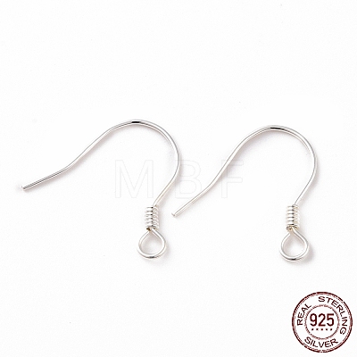 925 Sterling Silver Earring Hooks STER-D035-22S-1