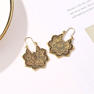 Bohemian Style Alloy Hoop Earrings FS-WG8FE08-01-1