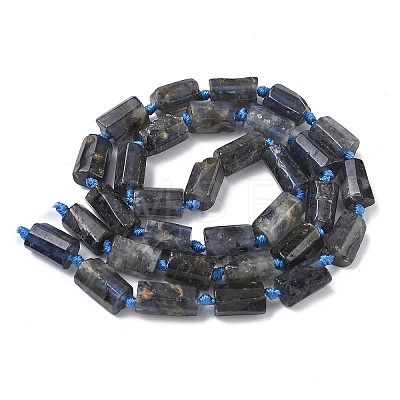 Natural Iolite Beads Strands G-C270-K06-1