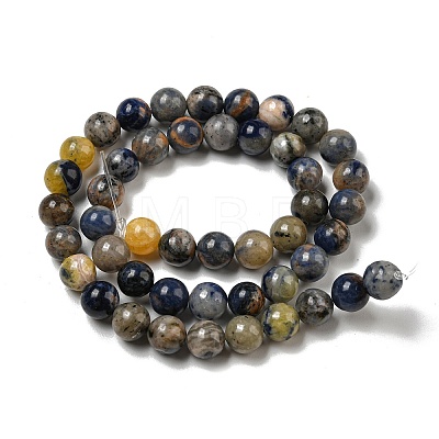 Natural Sodalite Beads Strands G-F591-13A-1