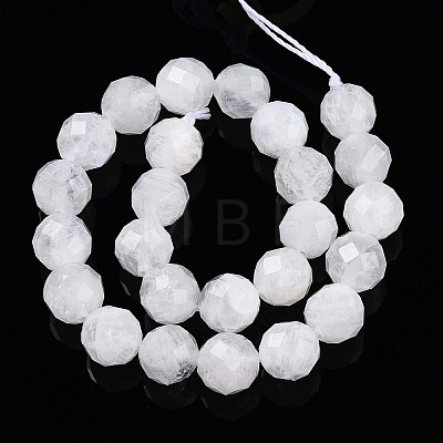 Natural Moonstone Beads Strands G-S345-8mm-36-1